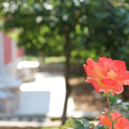 Apartments Toni Trogir Phòng bức ảnh