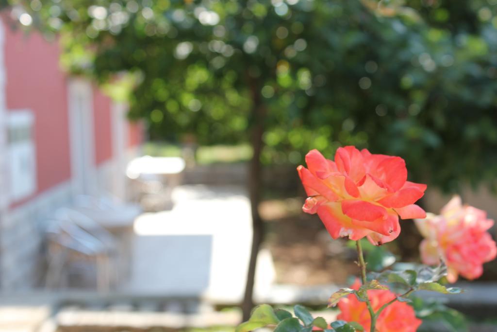 Apartments Toni Trogir Phòng bức ảnh